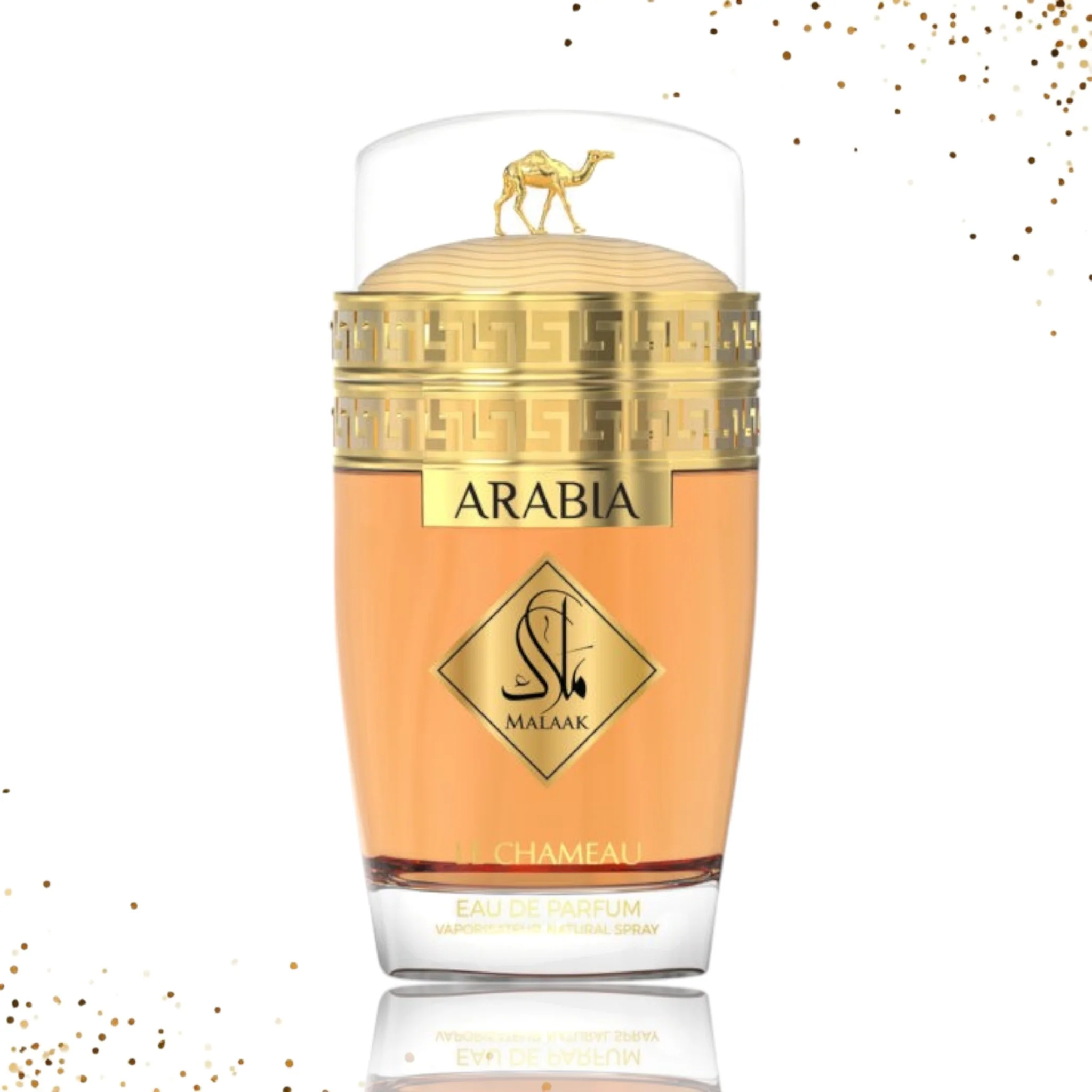 Arabia Malaak By Le Chameau - Image 2